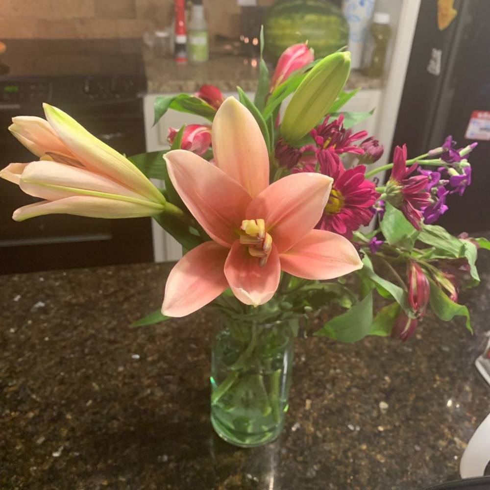 Meet your Posher, Susan